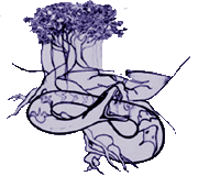 Root Force